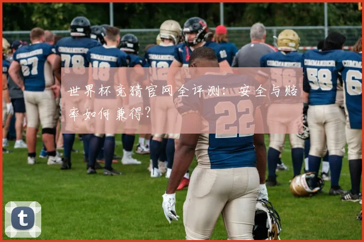 世界杯竞猜官网全评测：安全与赔率如何兼得？