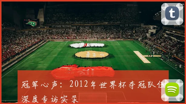 冠军心声：2012年世界杯夺冠队伍深度专访实录