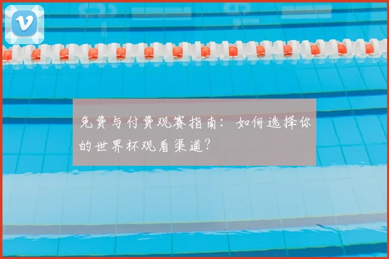 免费与付费观赛指南:如何选择你的世界杯观看渠道?