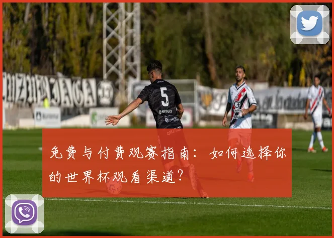 免费与付费观赛指南：如何选择你的世界杯观看渠道？
