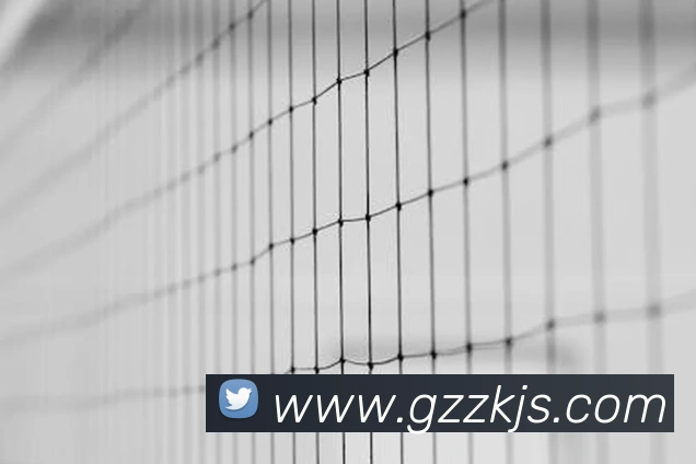 App Interface Preview